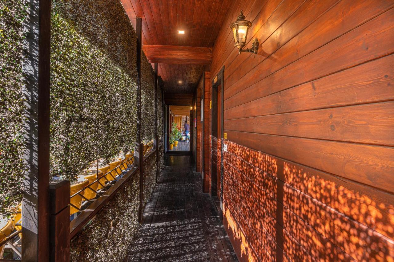 The Hosteller Kasar Devi Алмора Екстериор снимка
